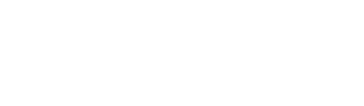 DEV-DRIVE